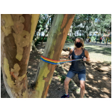 estúdio de treinamentos funcionais DISTRITO FEDERAL estúdio de treinamentos funcionais DISTRITO FEDERAL